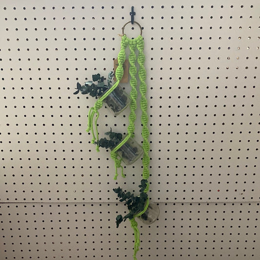 Propagation Station “Fern”